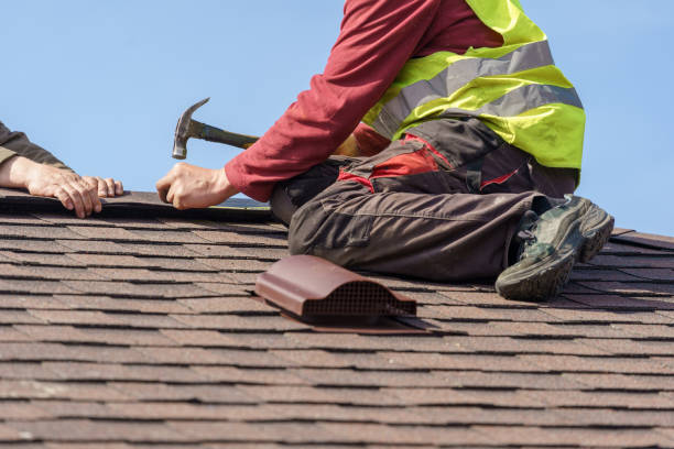Best Roof Maintenance Services  in Hamburg, AR
