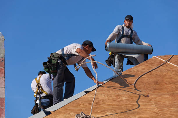 Best Roof Waterproofing Services  in Hamburg, AR