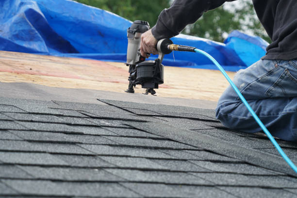 Best Gutter Installation and Roofing  in Hamburg, AR
